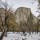 Cosa fare a Yosemite National Park in inverno